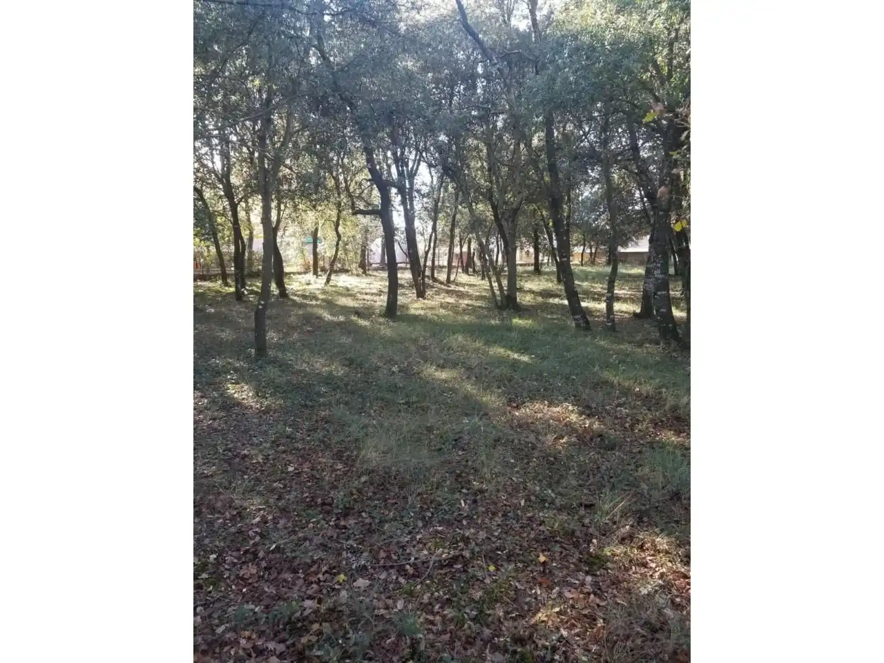 Residential land for sale in Carrer Montseny 52, imagen 6
