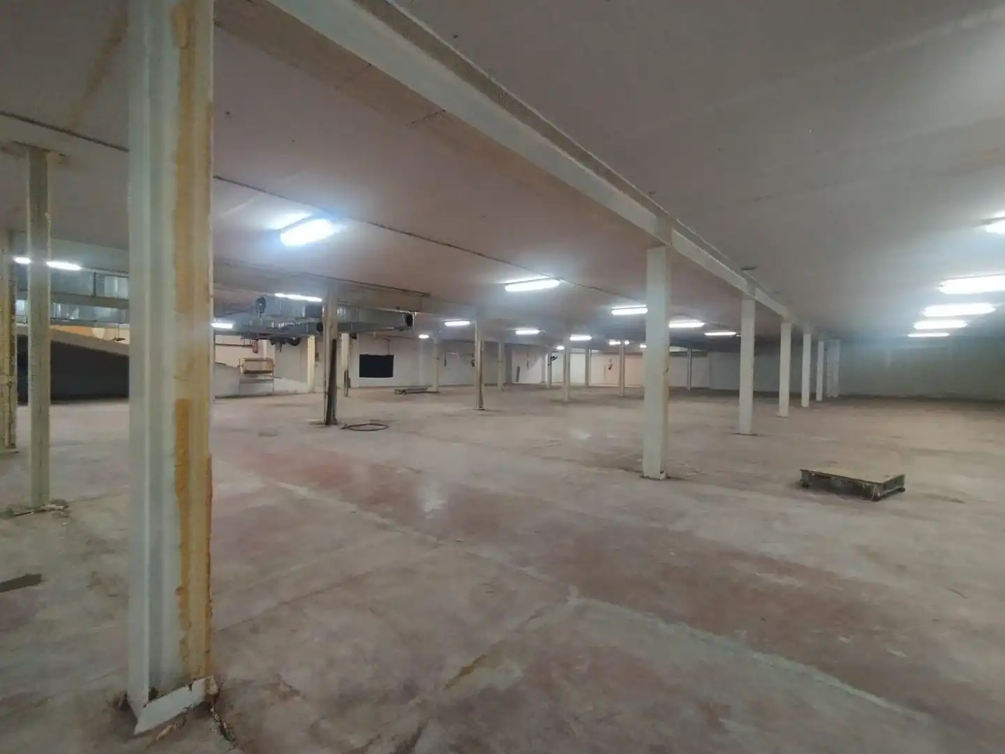 Nave industrielle à vendre à Crevillent, imagen 11
