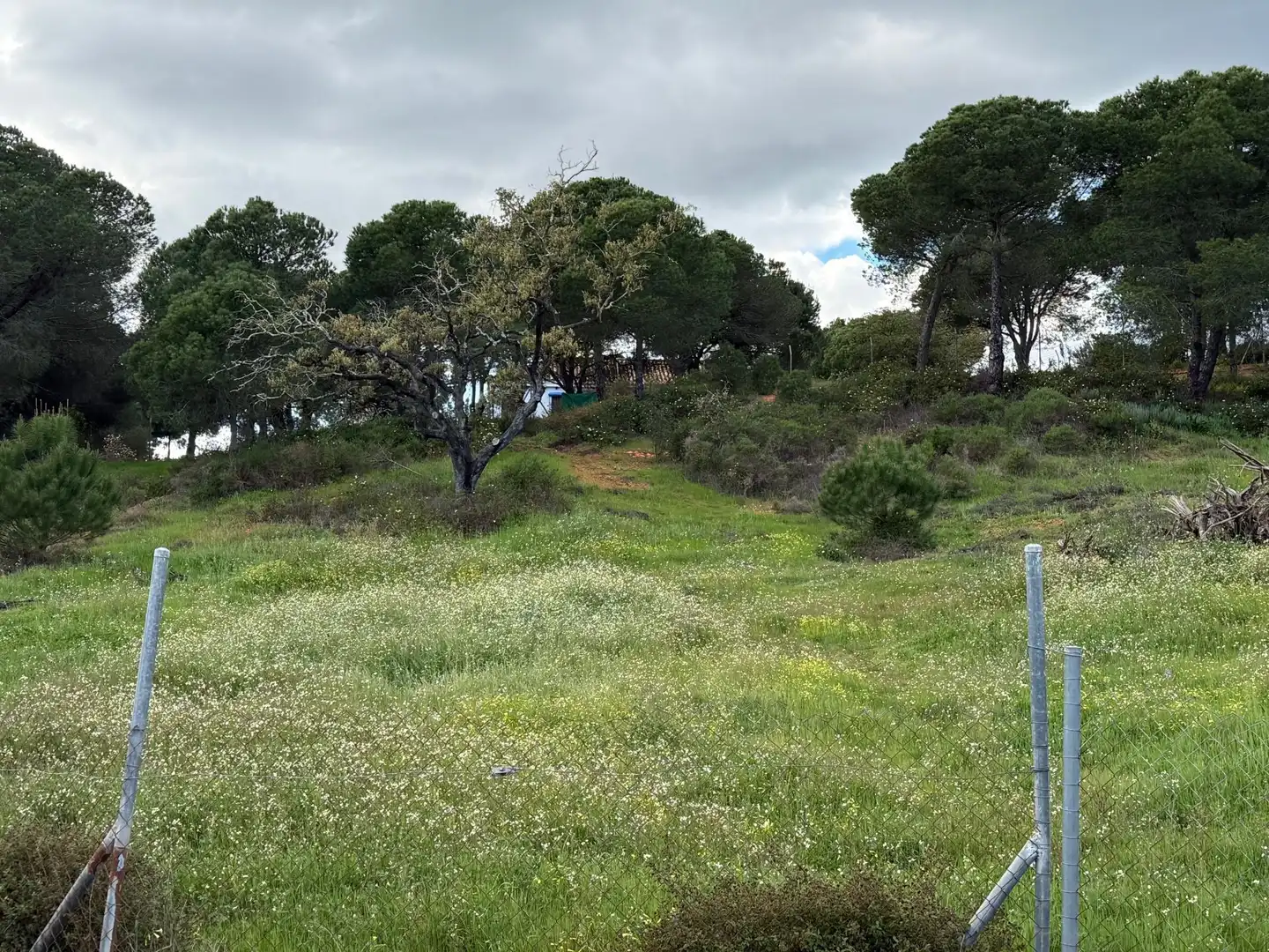 Terrenos y solares en venta en Las Palmillas, imagen 11