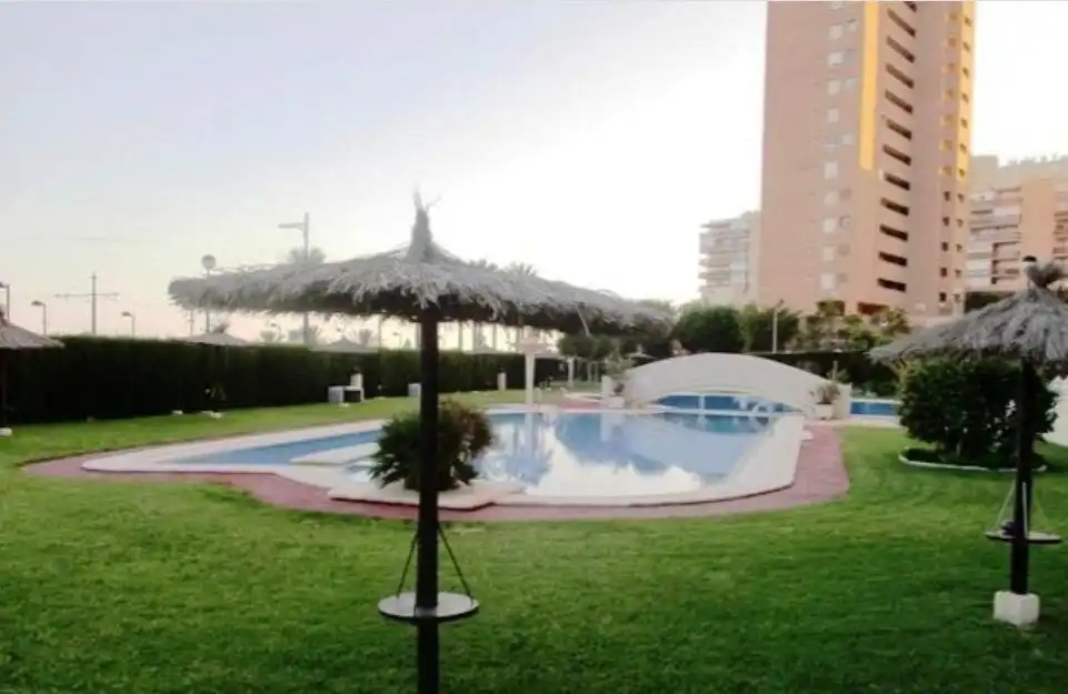 Swimming pool of Apartments for rent in El Campello  with Private garden, Balcony and Community pool