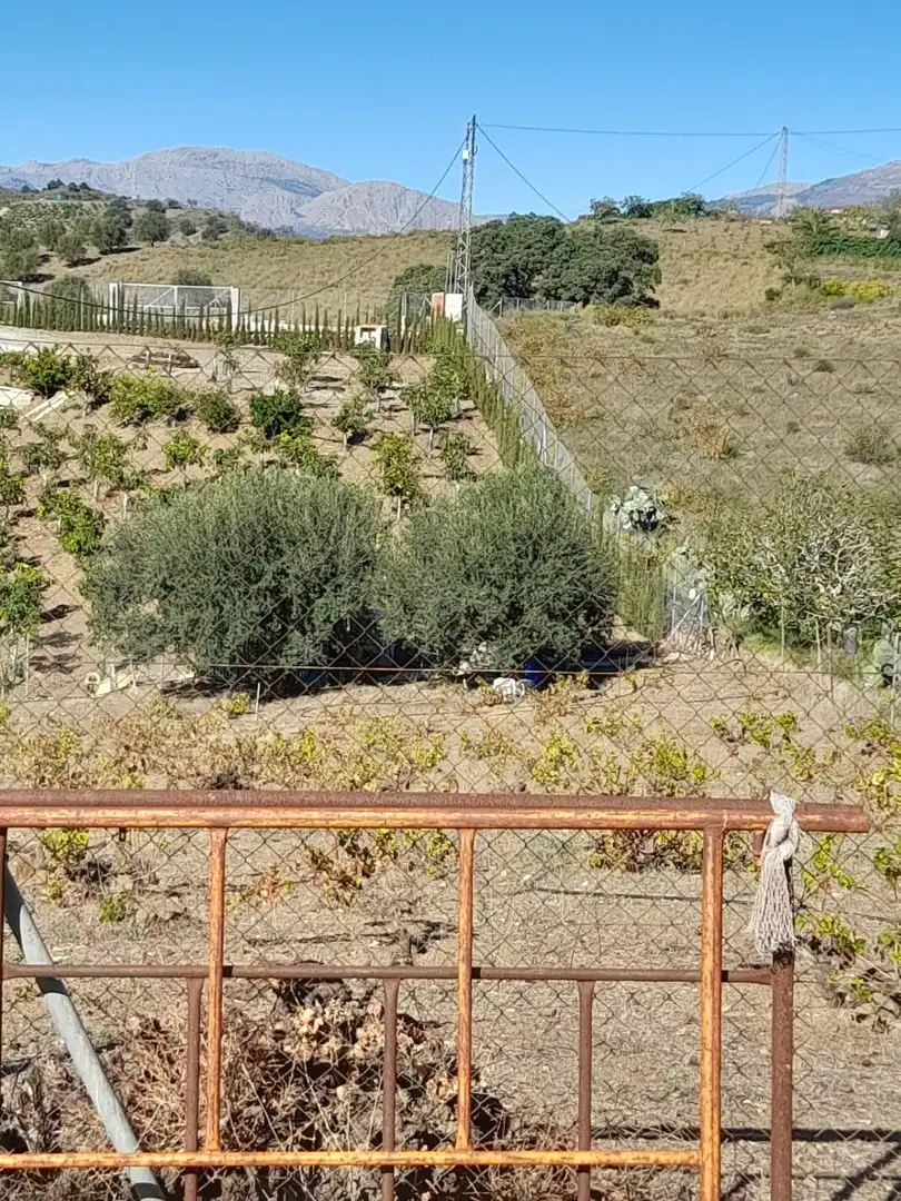 Casa o xalet en venda a N/A, Norte - Barrio del Pilar - El Reñidero