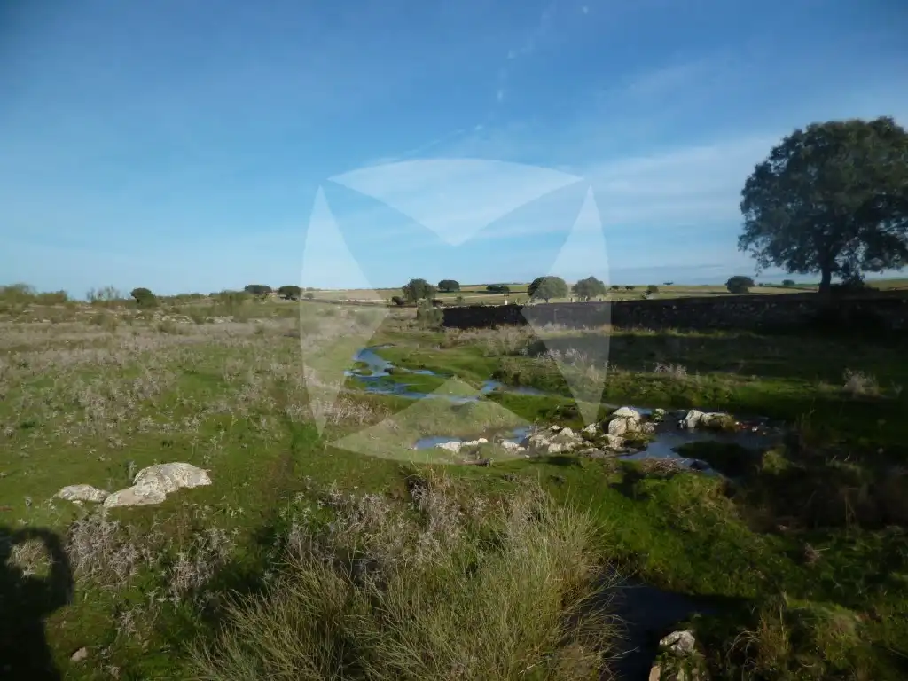 Casa o xalet en venda en Monroy