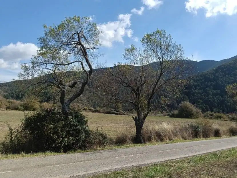 Terreni e lotti in vendita a calle alta, imagen 24