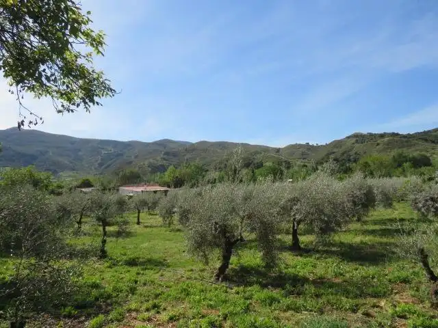 Jardín de Terreno en venta en Cenes de la Vega