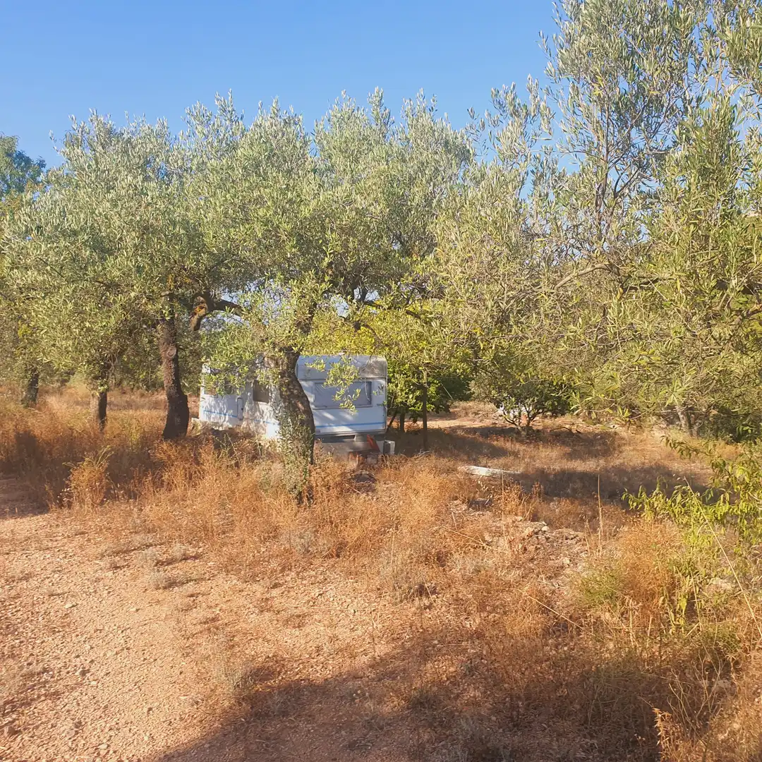 Terrain rustique à vendre à Rasquera, imagen 4