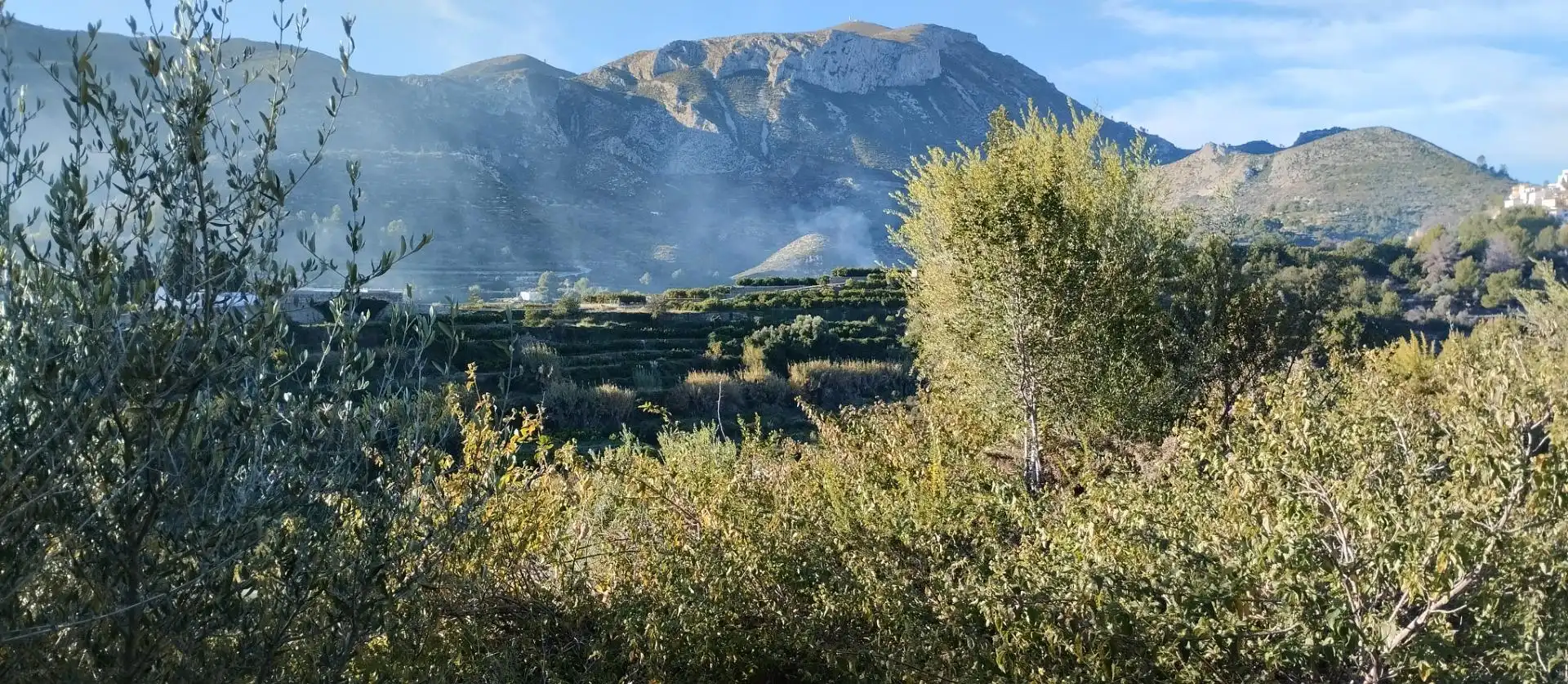 Terreny rústic en venda a L'Atzúbia, imagen 6