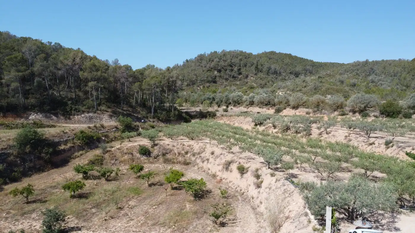 Finca rústica en venda a Miravet