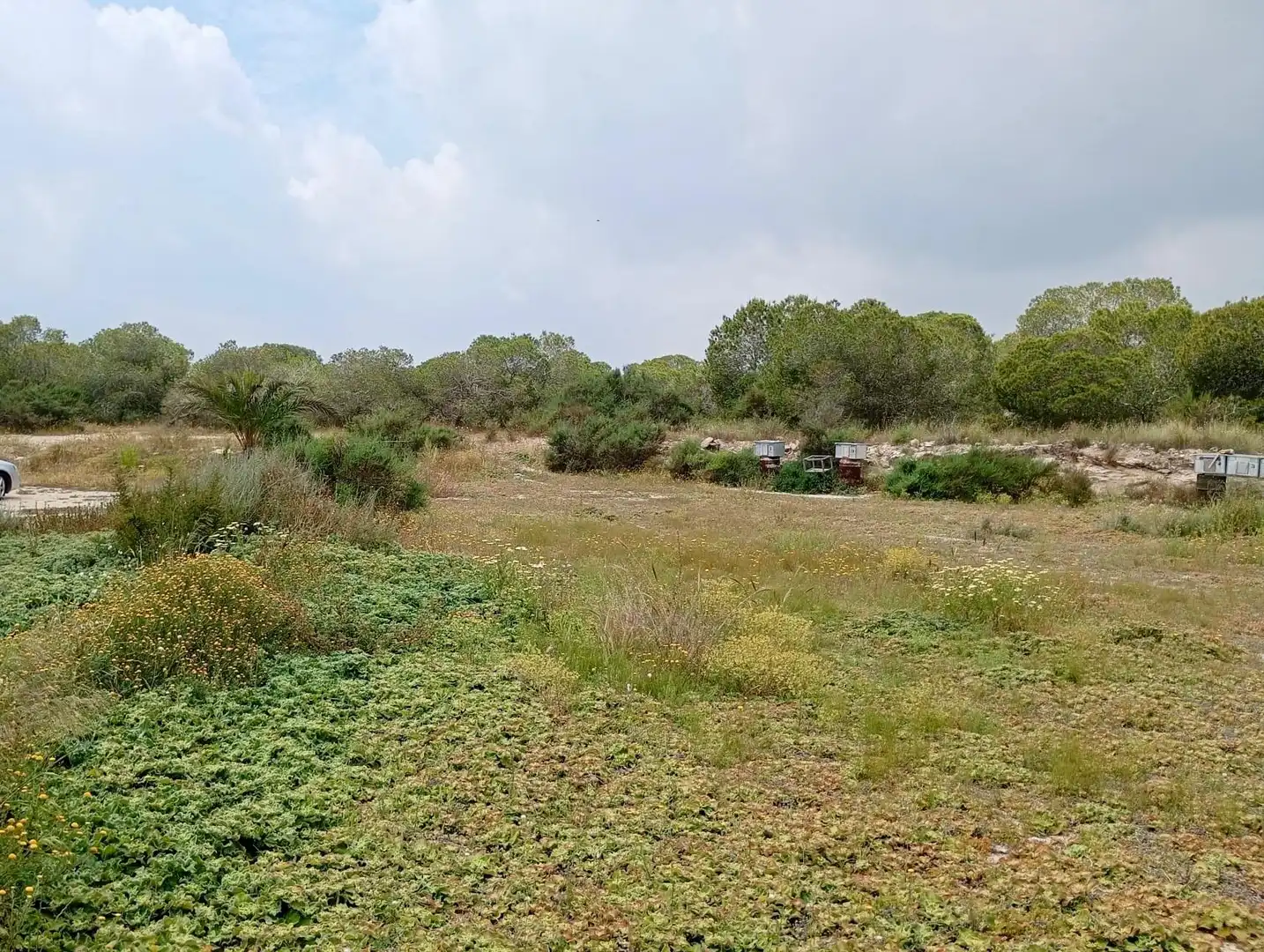 Casa o chalet en venta en Elche / Elx con Jardín privado y Trastero
