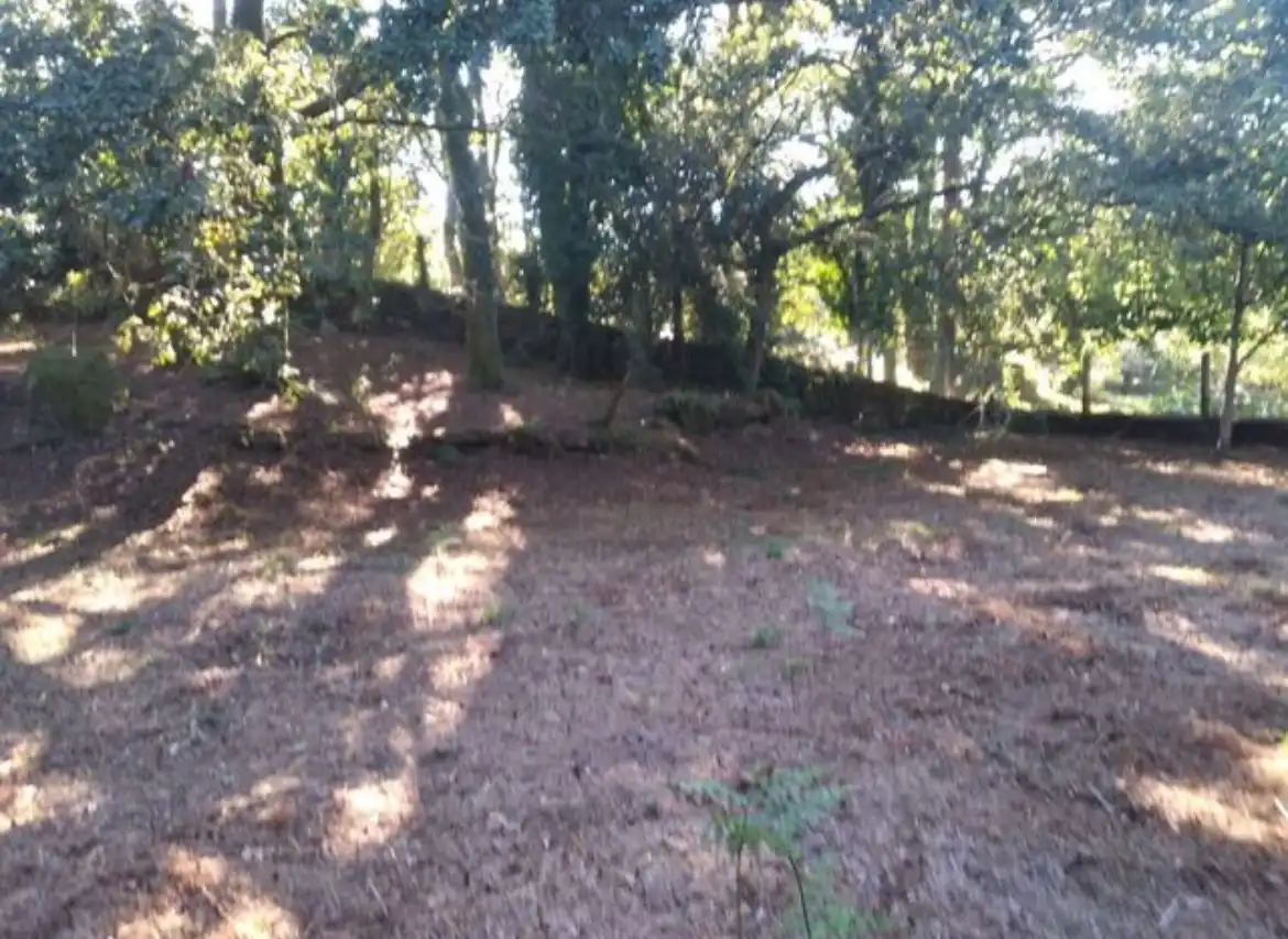 Terreno residenziale in vendita a N/A, imagen 8