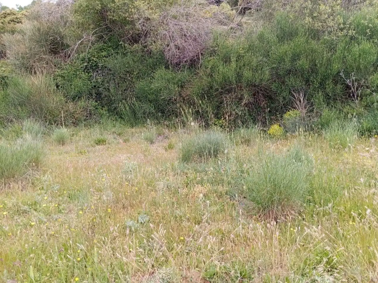 Terreno en venta en Pórtugos