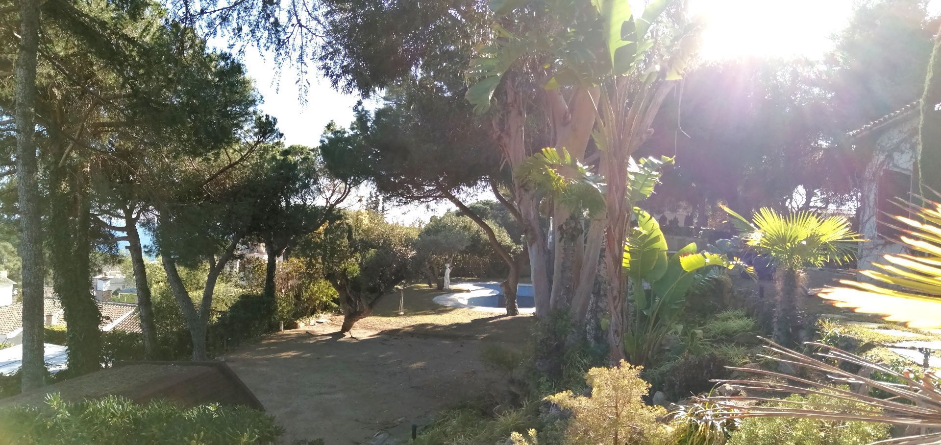Jardín de Casa o chalet en venta en Lloret de Mar con Terraza y Piscina