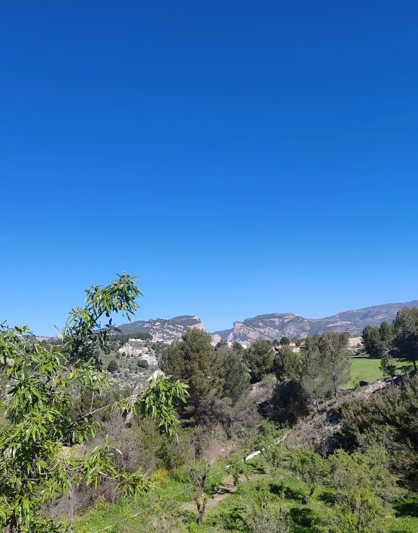Casa con piscina en venta en Centre - Zona Alta, imagen 76