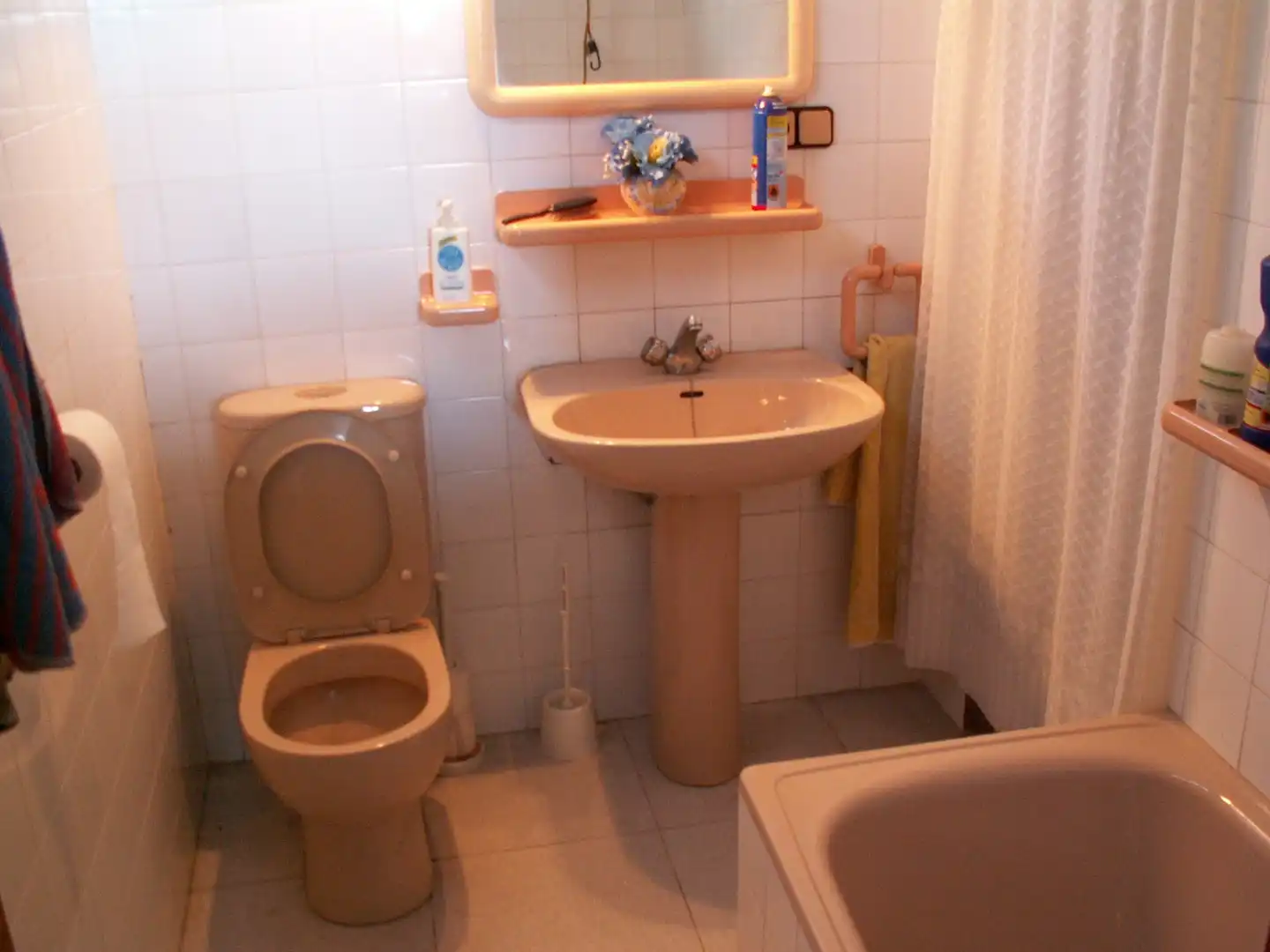 Detached house with garden for sale in Pedanías Este, imagen 7