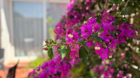 Foto 5 de Casa adosada en venda a El Mas Pinell, Girona
