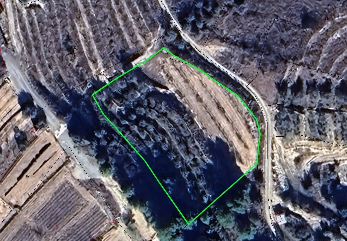 Lands and plots for sale in Pliego