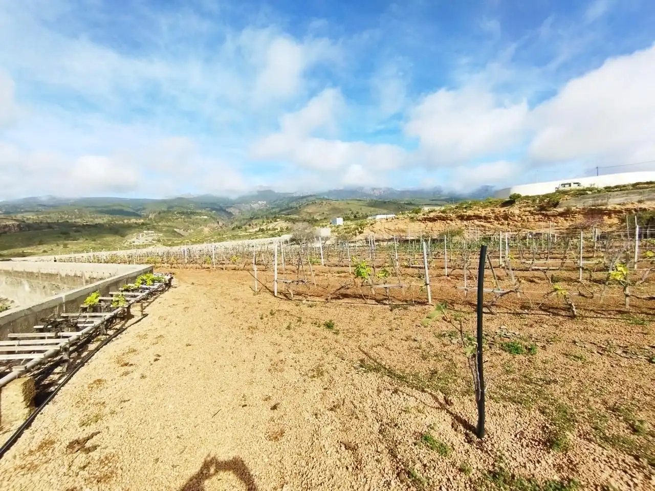 Terreno rustico in vendita a Arico, imagen 22