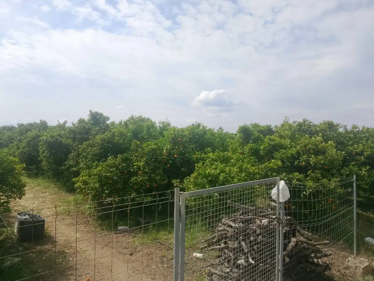 Land for sale in Guardamar de la Safor