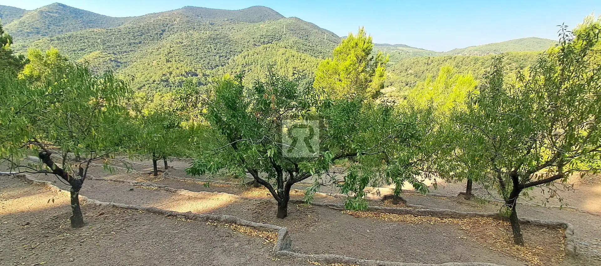 Casa rústica amb piscina en venda a Partida Garramel 5, imagen 41