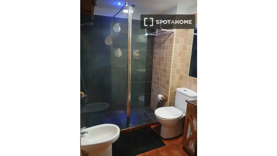 Bathroom of Apartments for share in Candelaria  with Air Conditioner, Terrace and Furnished