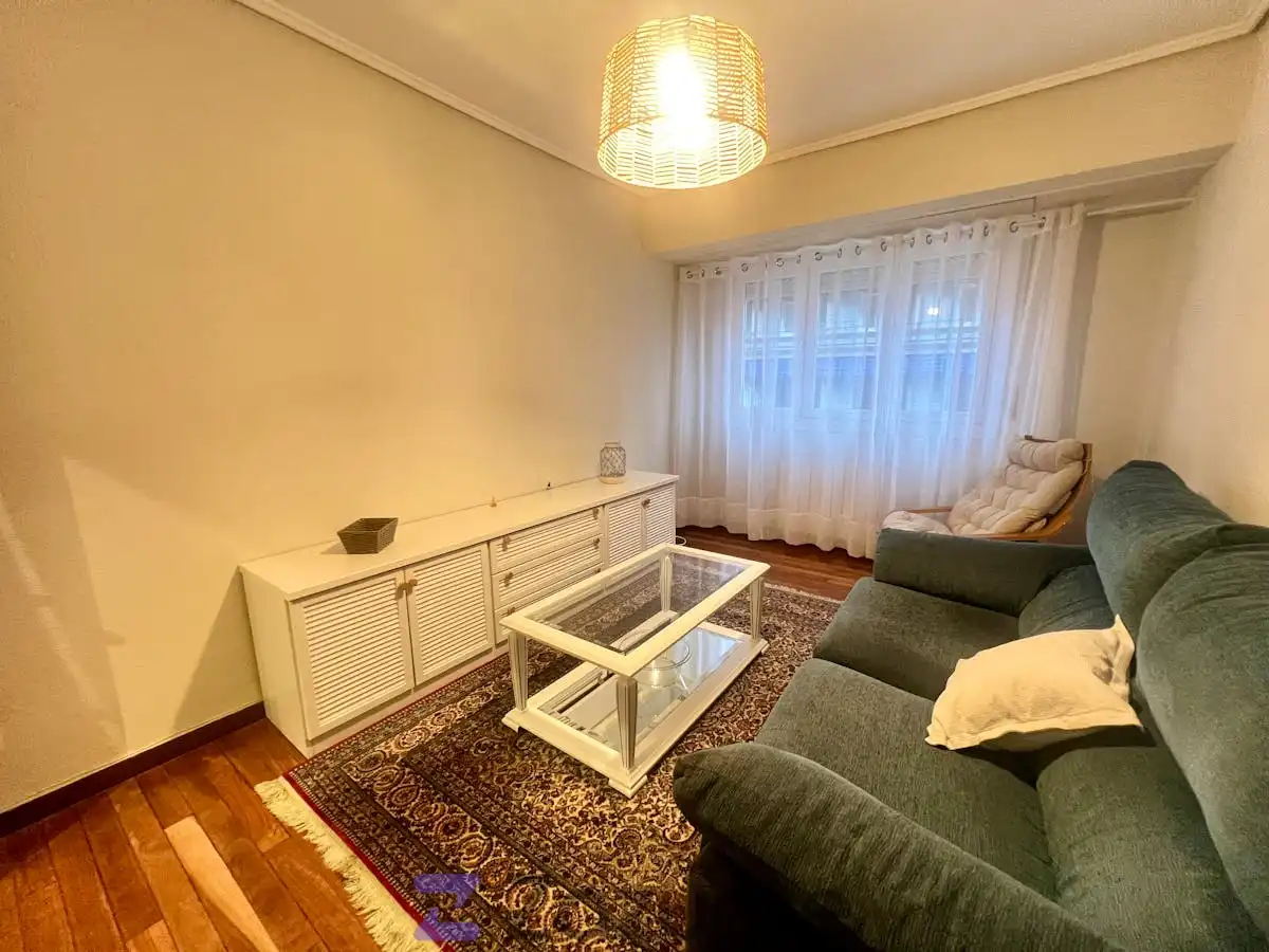Wohnzimmer von Wohnung zur Miete in Bilbao  mit Heizung, Terrasse und Möbliert