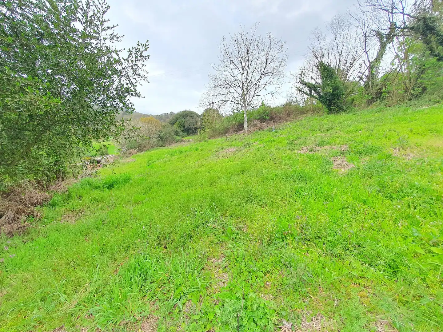 Residencial en venda en Las Regueras  
