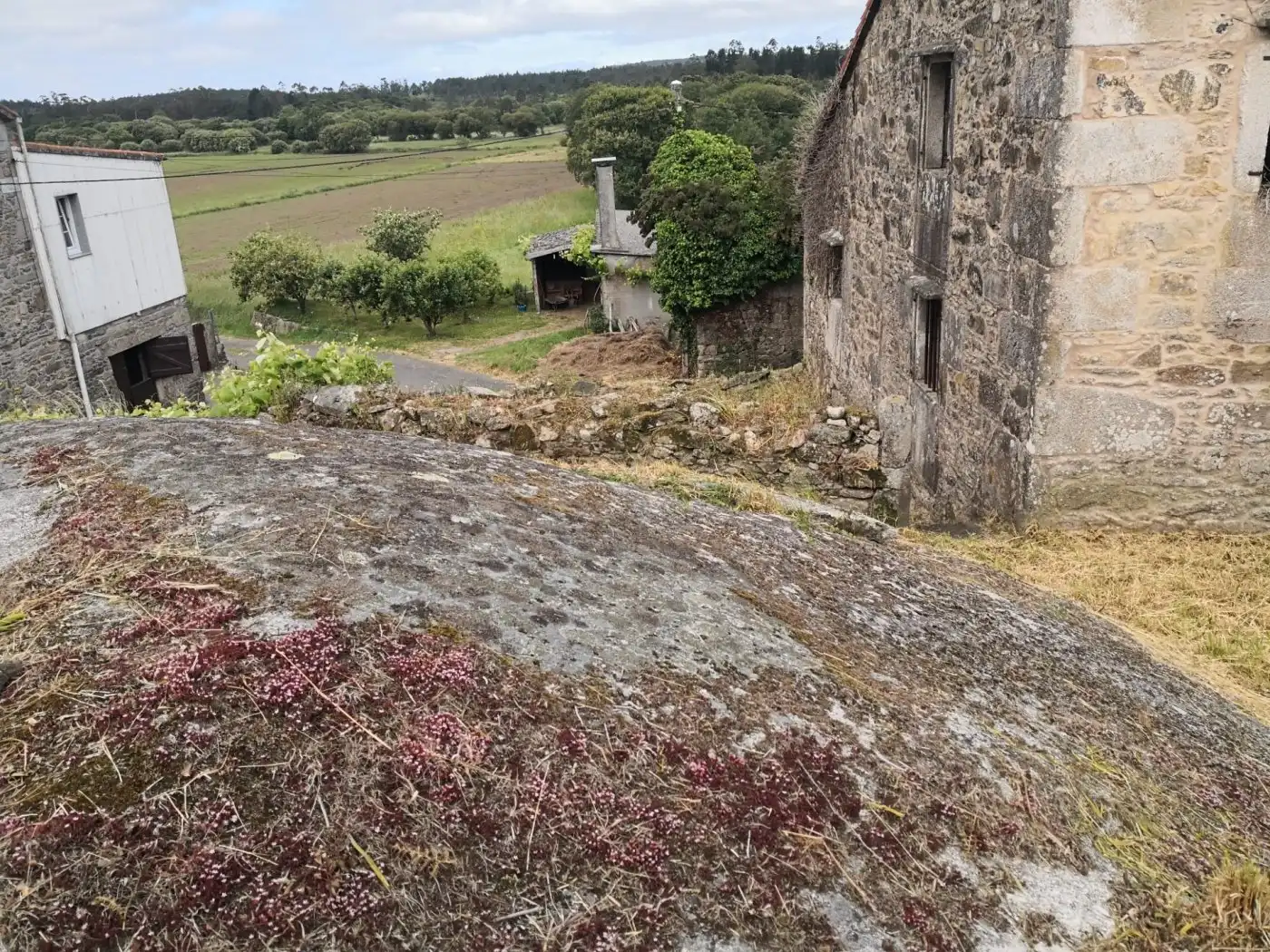Vista exterior de Casa o xalet en venda en Zas