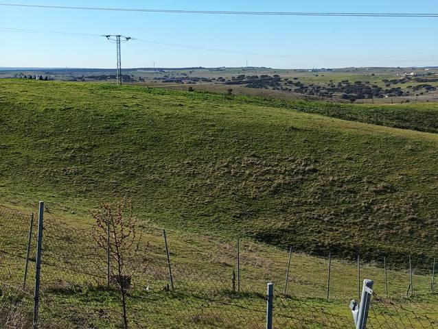Terreno en Venta en Vial Camino, 95 en El Olivar - La Magdalena