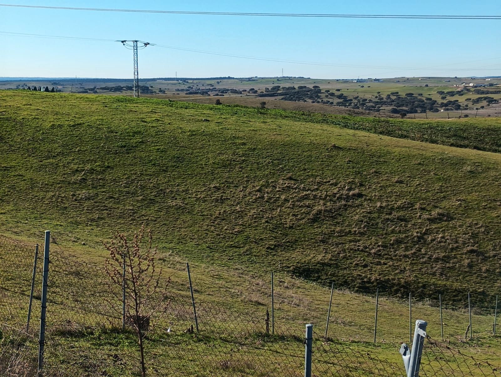 Land for sale in Colmenar Viejo
