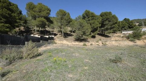 GRAN SOLAR EN EL PUNTAL, immagine 2
