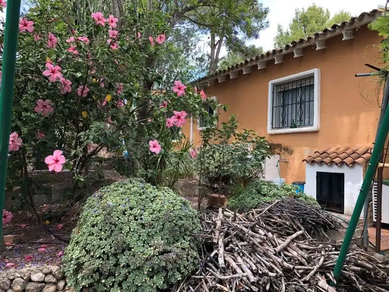 Vista exterior de Casa o chalet en venta en Palma de Gandia con Aire acondicionado, Jardín privado y Terraza