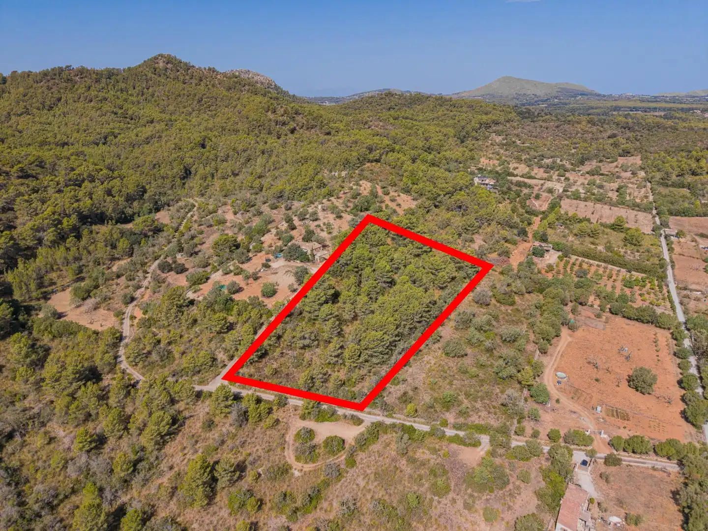 Rural land for sale in Son Servera Poble, imagen 13