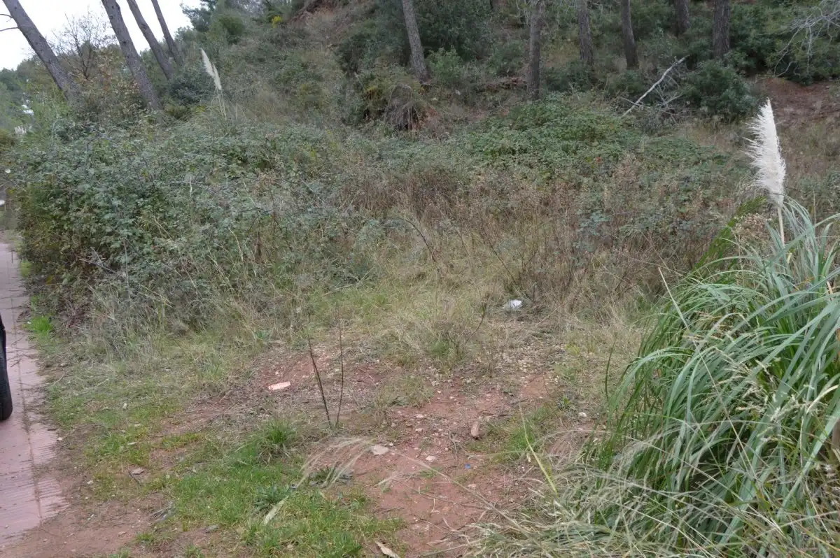 Terreni e lotti in vendita a Corbera de Llobregat, imagen 32