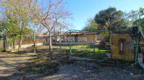 Foto 5 de Finca rústica en venda a San Cayetano, Granada