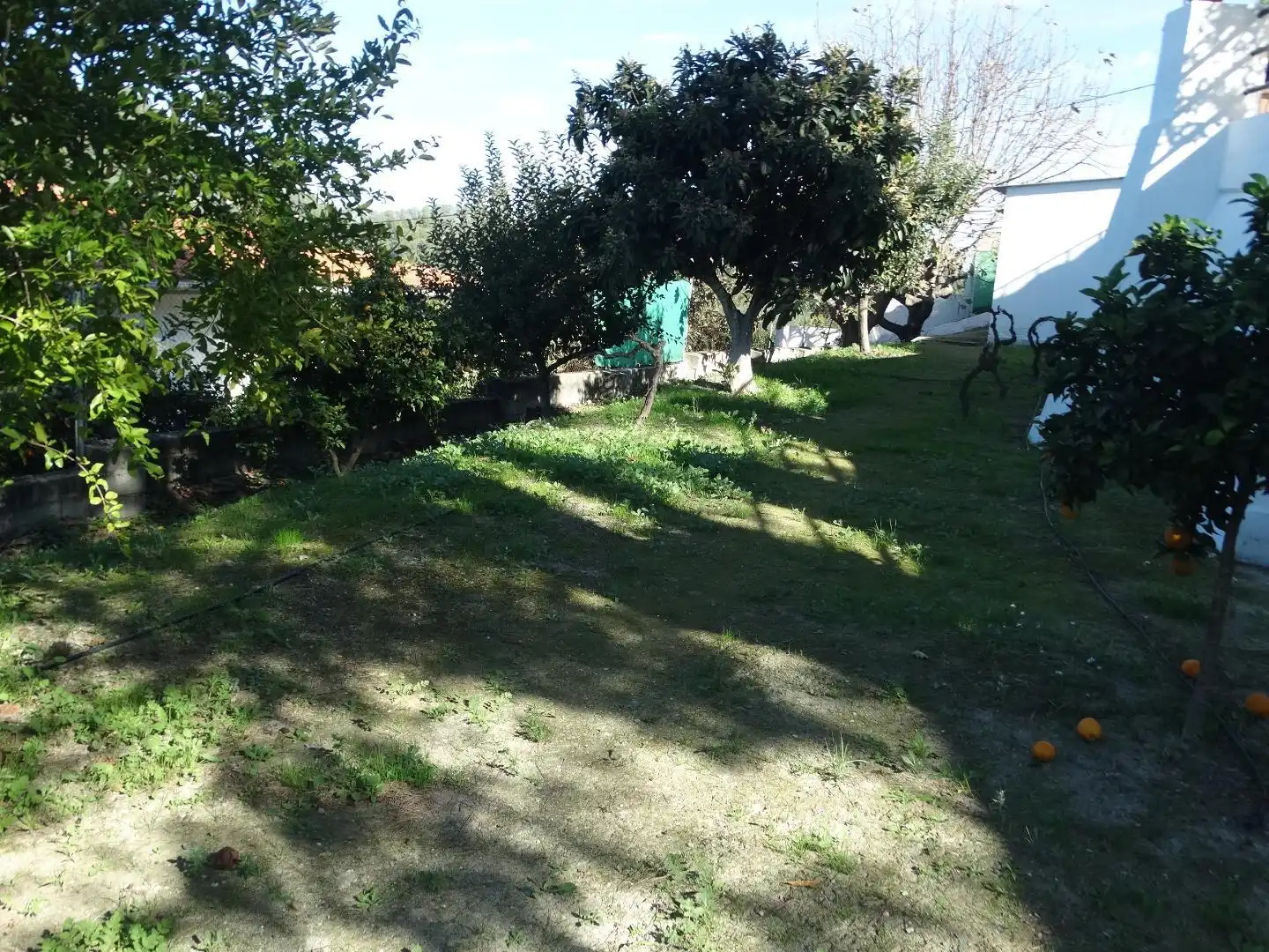 Casa o xalet en venda en Xàtiva amb Terrassa, Traster i Piscina