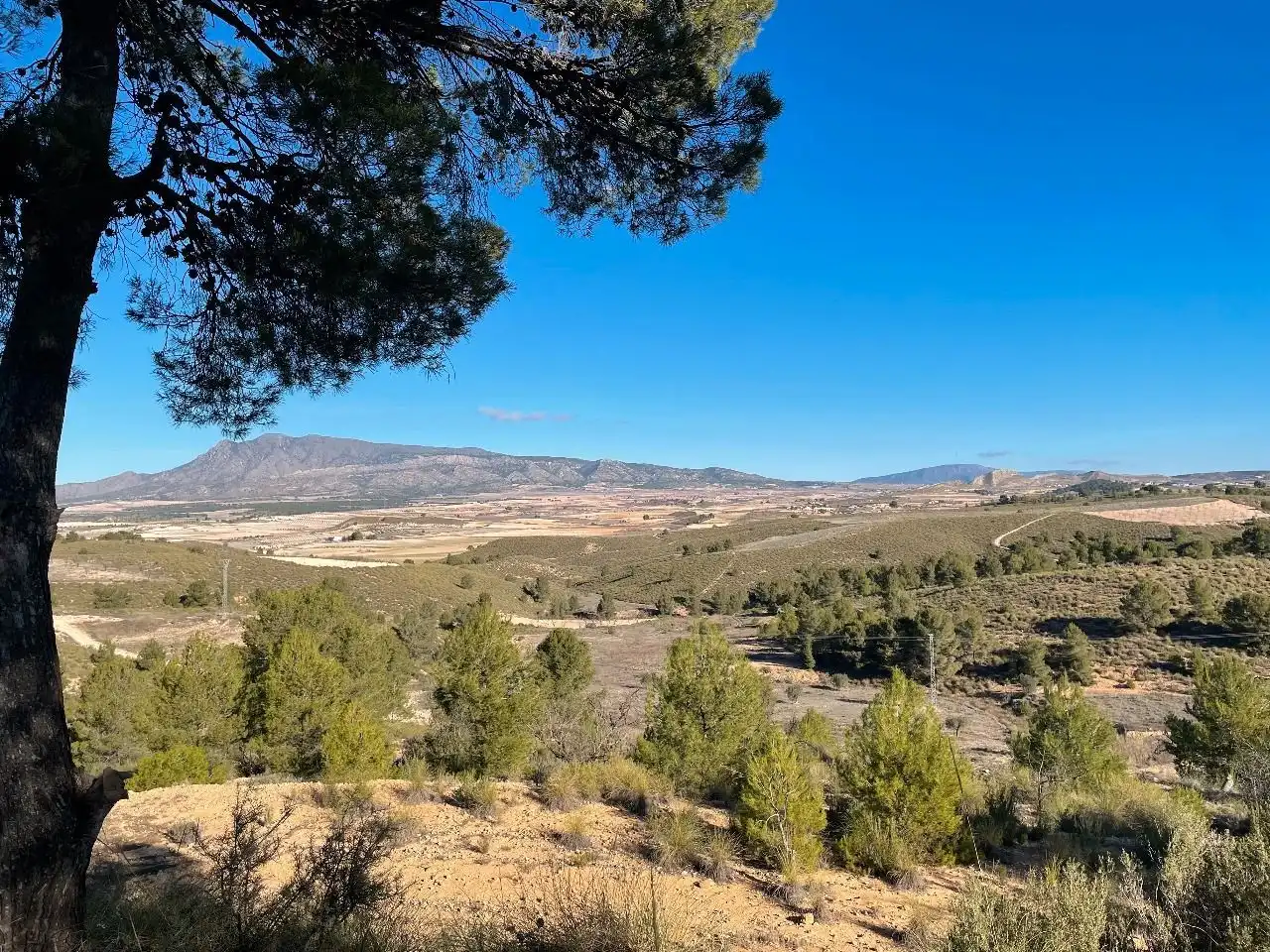 Rustikales Grundstück zum Verkauf in Jumilla