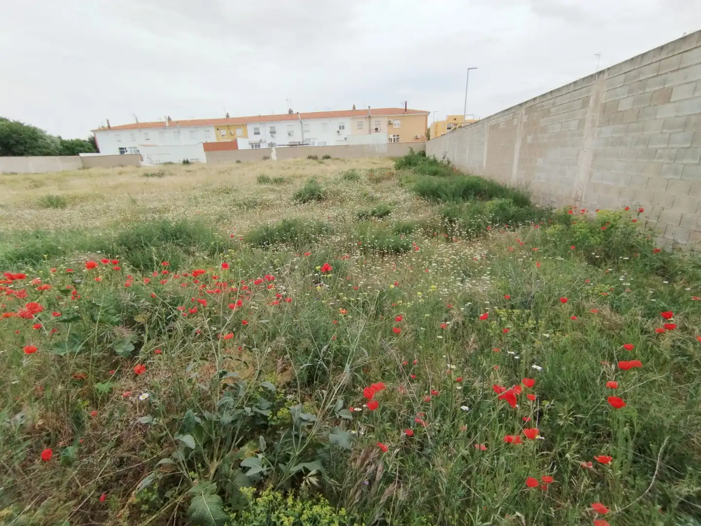 Terreny residencial en venda a Calle la Paz, imagen 17