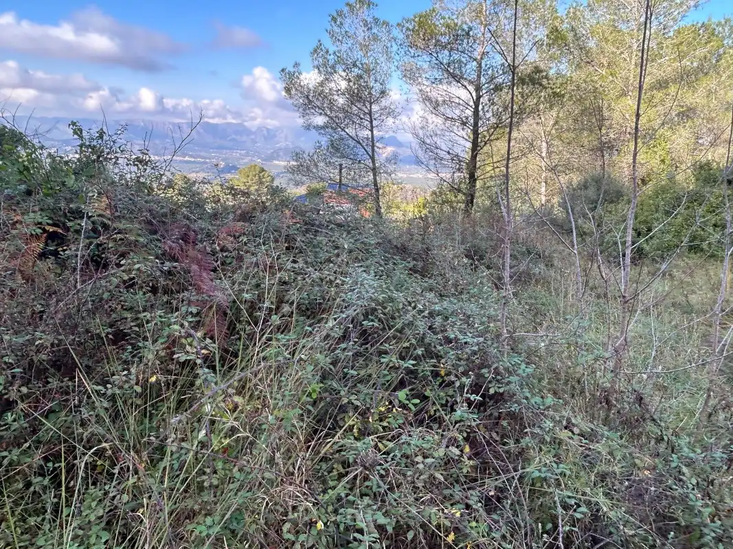 Rural land for sale in Partida Tancaes, imagen 23