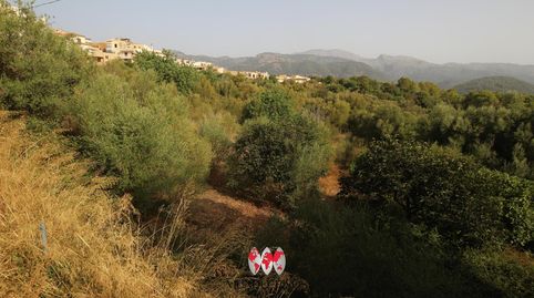 Solar urbano en Campanet, Mallorca, Islas Baleares, immagine 5