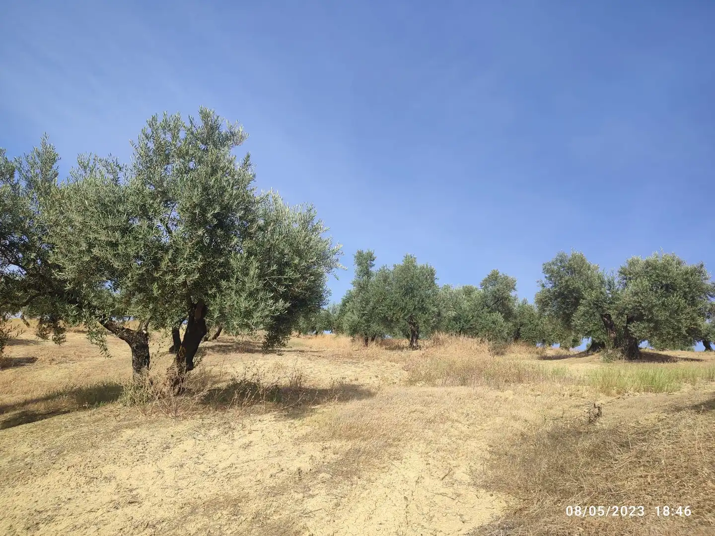 Terreni e lotti in vendita a Porcuna