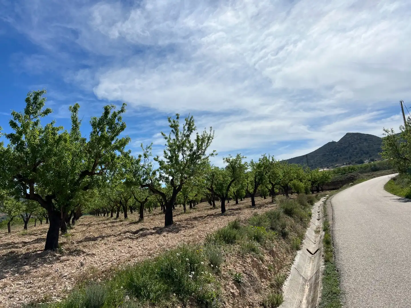 Residential land for sale in Hondón de los Frailes, imagen 13