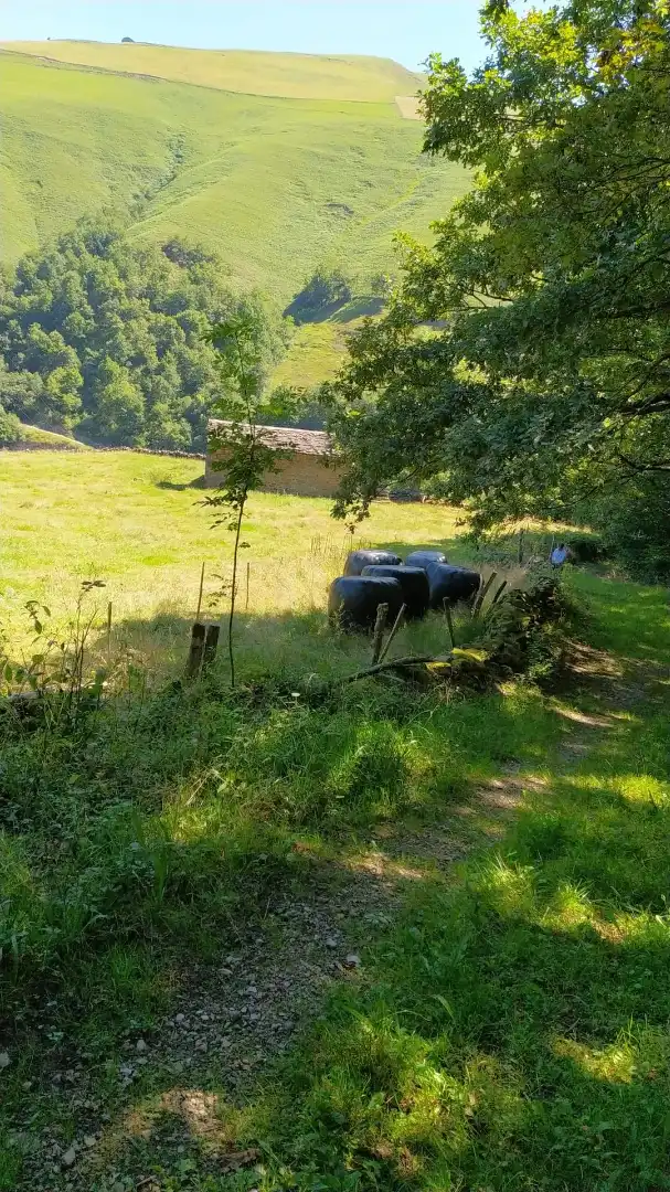 Vista exterior de Casa o xalet en venda en Vega de Pas amb Jardí privat
