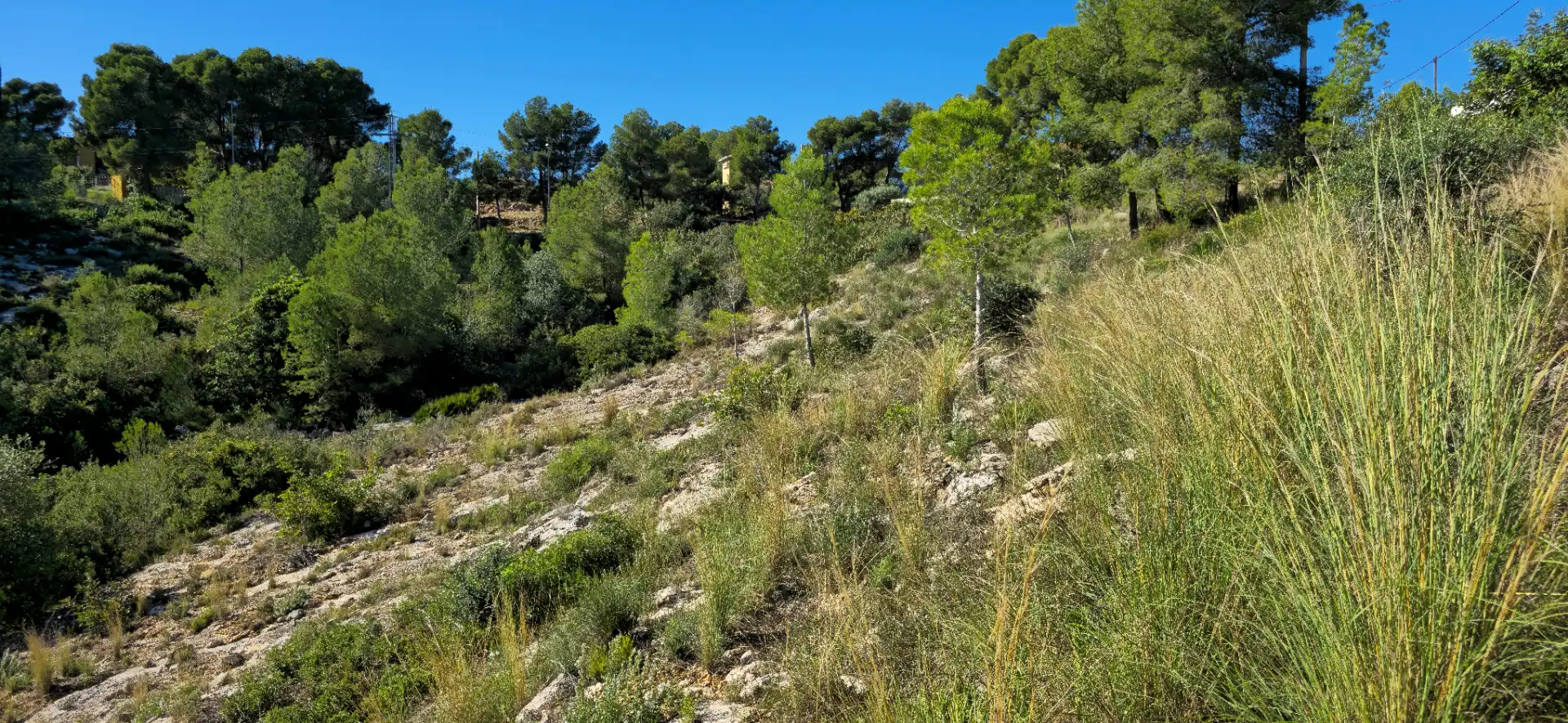 Wohnbaugrundstück zum Verkauf in Calle C/2 Lloma Molina 31, imagen 46