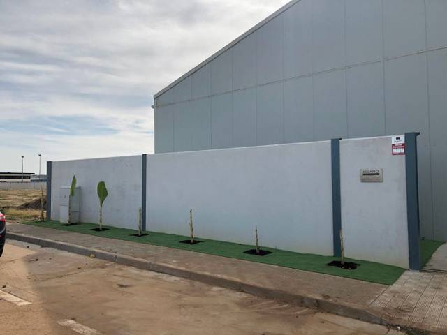 Local comercial en Alquiler en Calle Baleares, 258 en Salteras