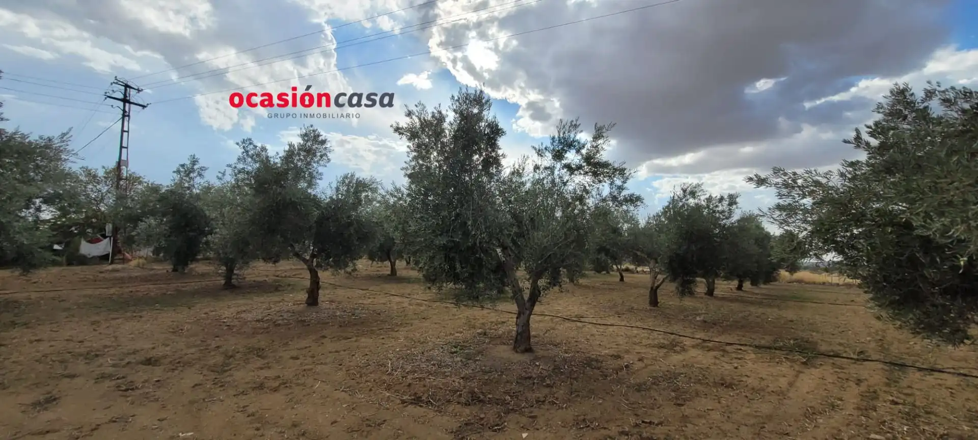 Casa rústica en venta en Alcaracejos, imagen 15