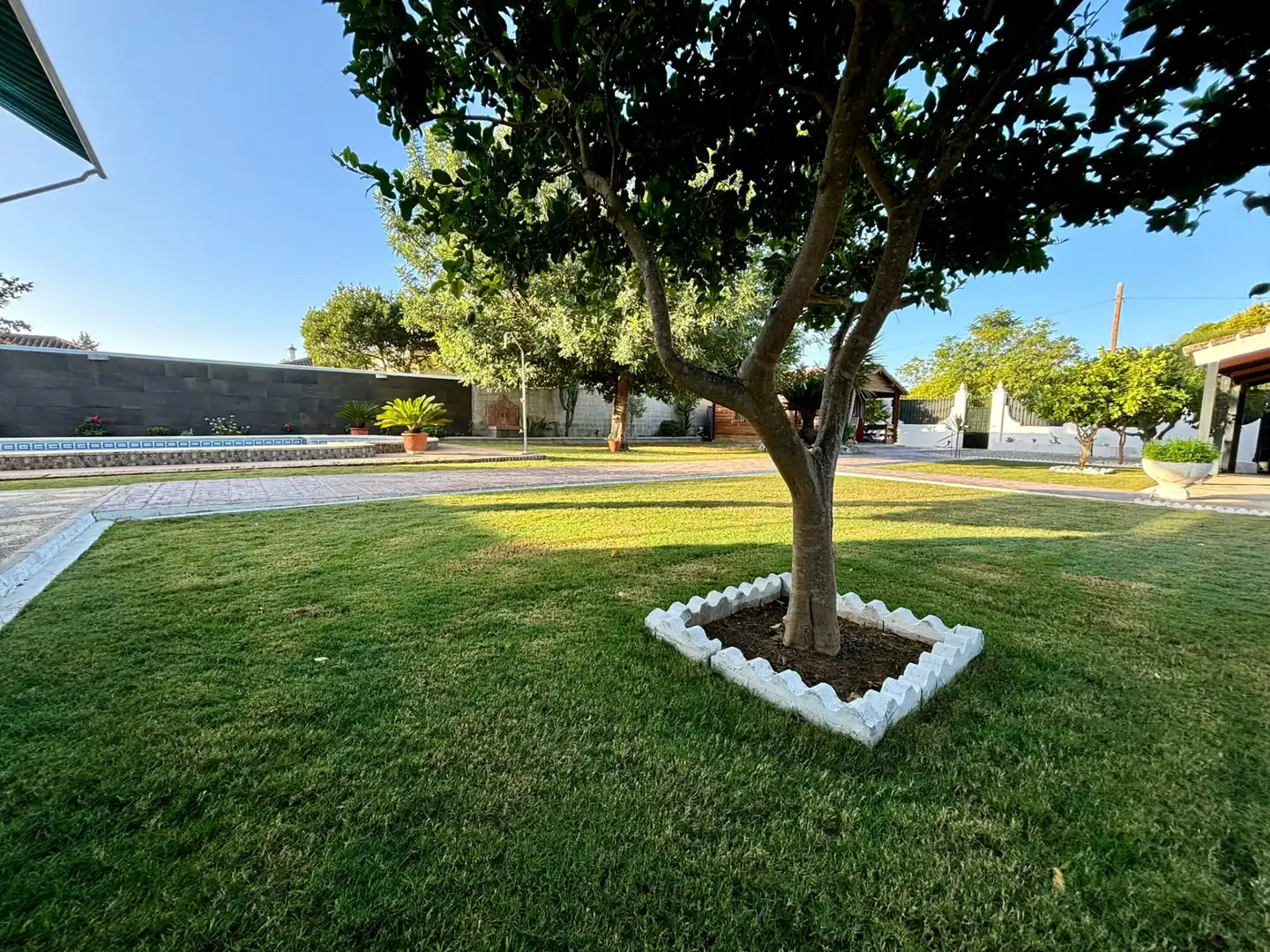 Jardí de Casa o xalet en venda en Arcos de la Frontera amb Jardí privat, Traster i Piscina