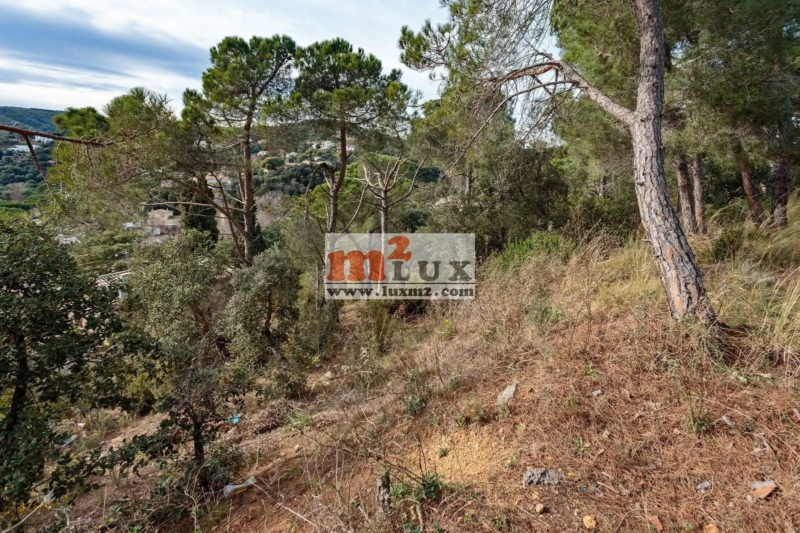 Terreny residencial en venda a Carrer Eucaliptus 14, imagen 6