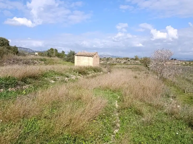 Terreno rustico in vendita a Camí de Sant Jeroni 29, imagen 4