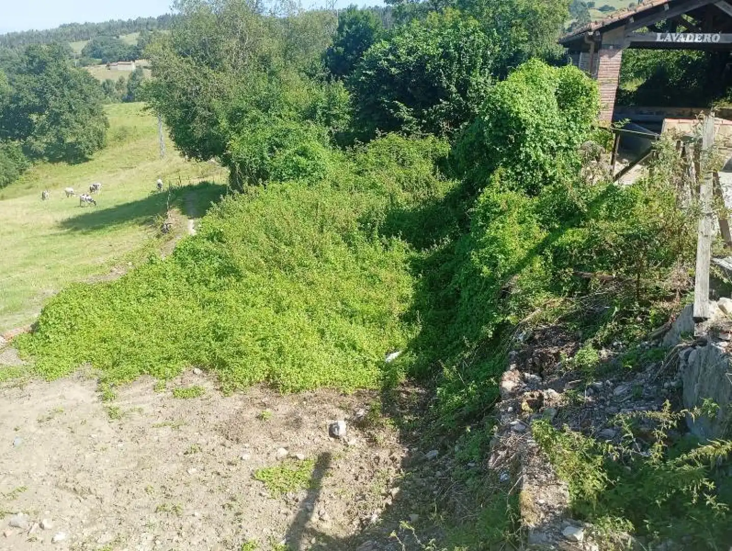 Houses for sale in Reocín  with Heating, Terrace and Storage room