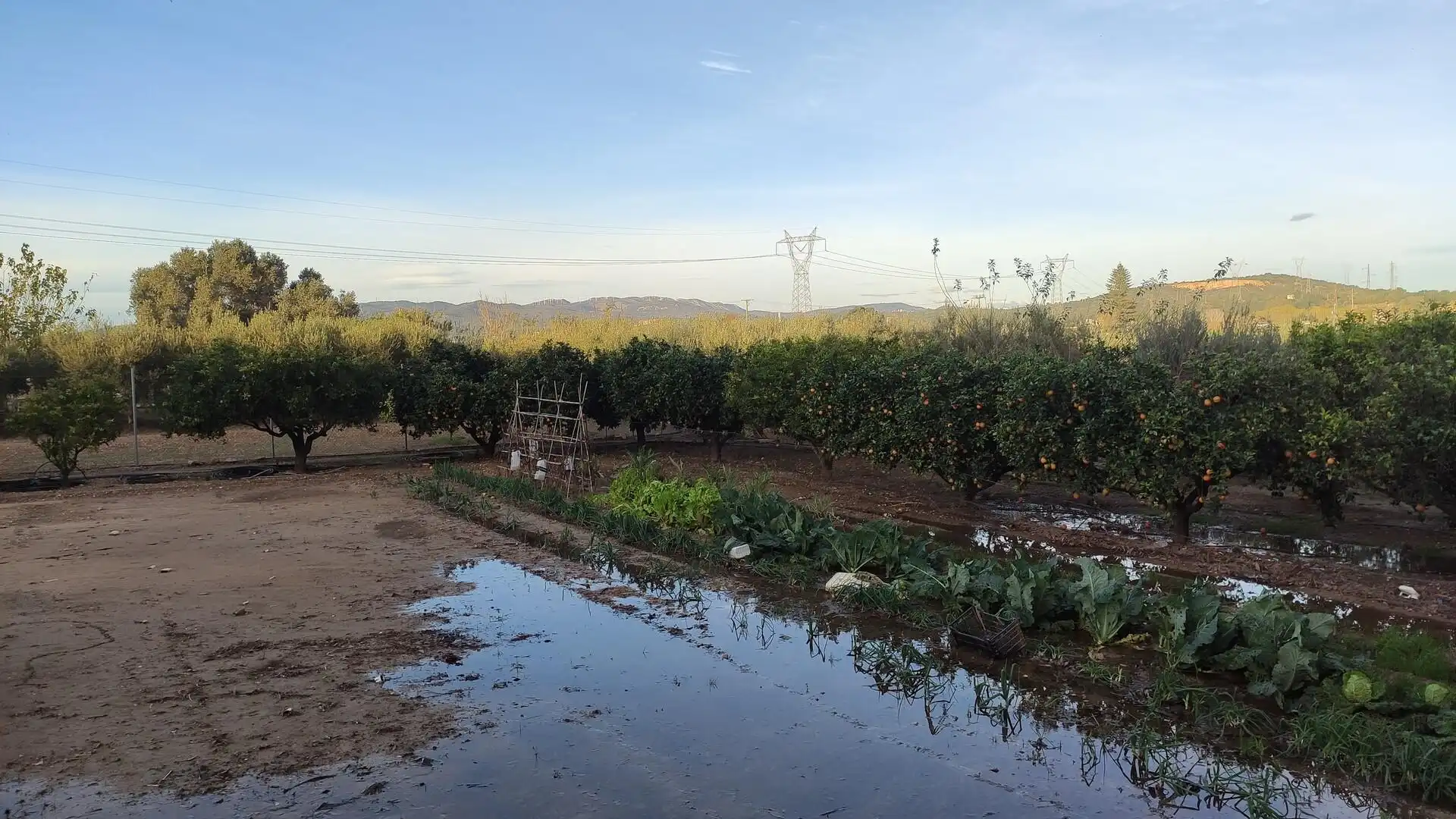 Jardín de Finca rústica en venta en Amposta