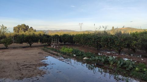 Foto 3 de Finca rústica en venta en Casc Antic, Amposta